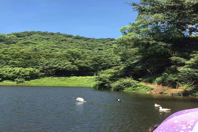 宝安南山罗湖周边的农庄乐湖生态园 让深圳农家乐真正的乐起来