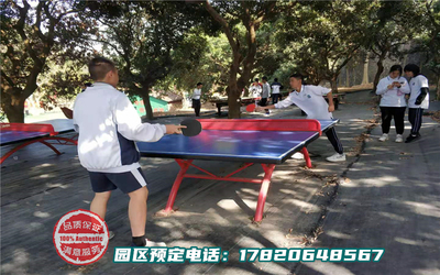 深圳周边自驾游休闲系列-球技比赛