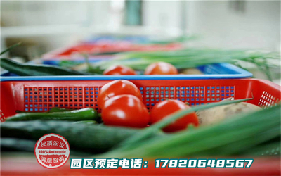 深圳农家乐野炊系列-绿色菜品